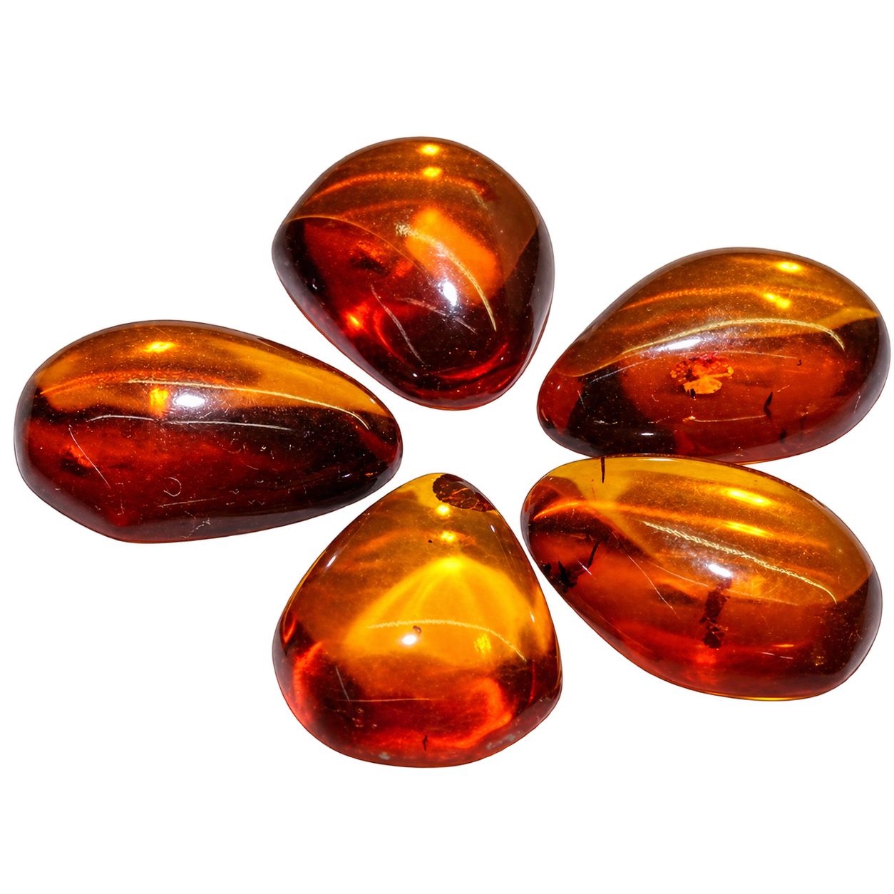 Fünf polierte Bernstein-Cabochons in ovalen und tropfenähnlichen Freiformen